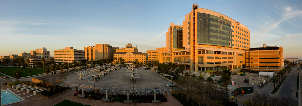 UTMB School Of Medicine